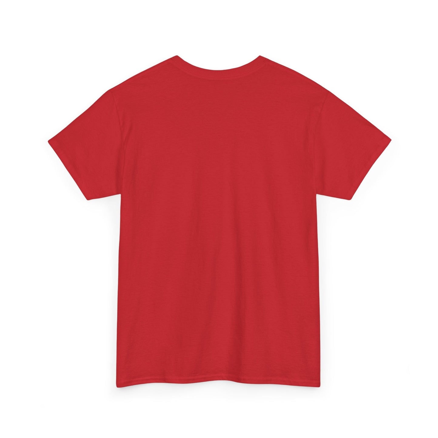 Camisa Para Dama - Devotos Nuestra Señora de Chiquinquira