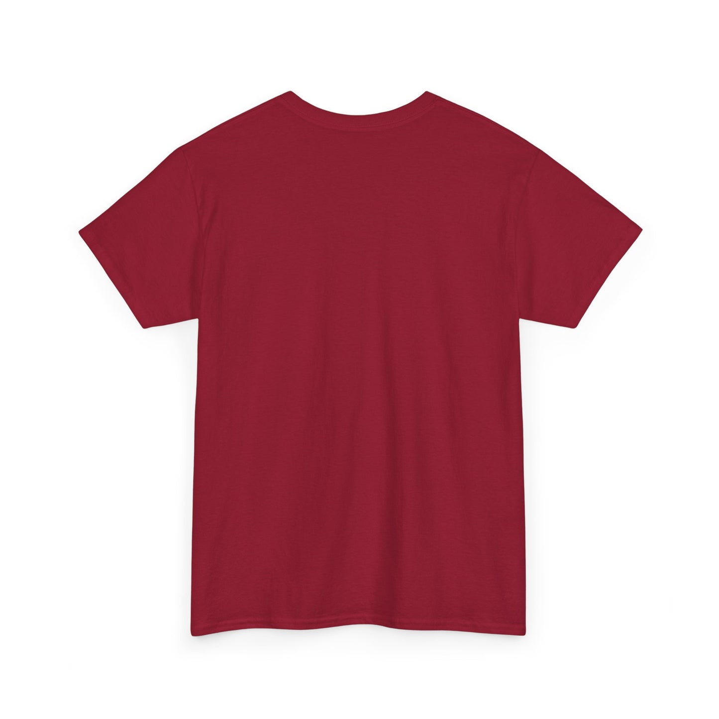 Camisa Para Dama - Devotos Nuestra Señora de Chiquinquira