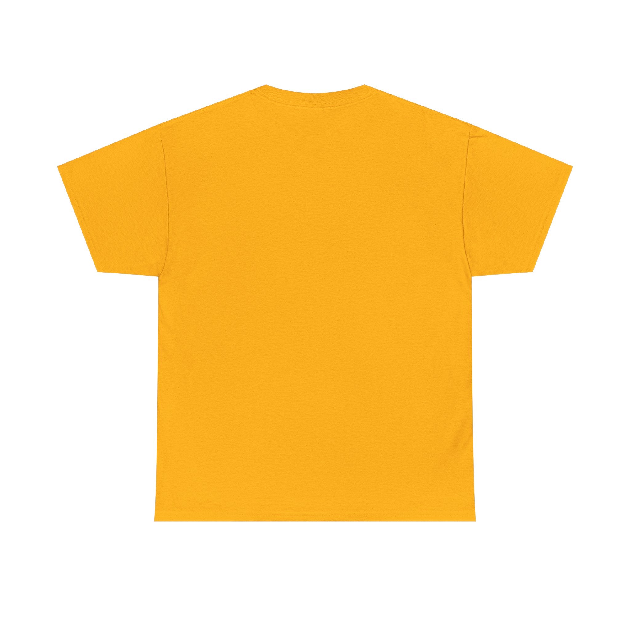 Camisa Unisex - Reliquia Nuestra Señora de Coromoto Venezuela