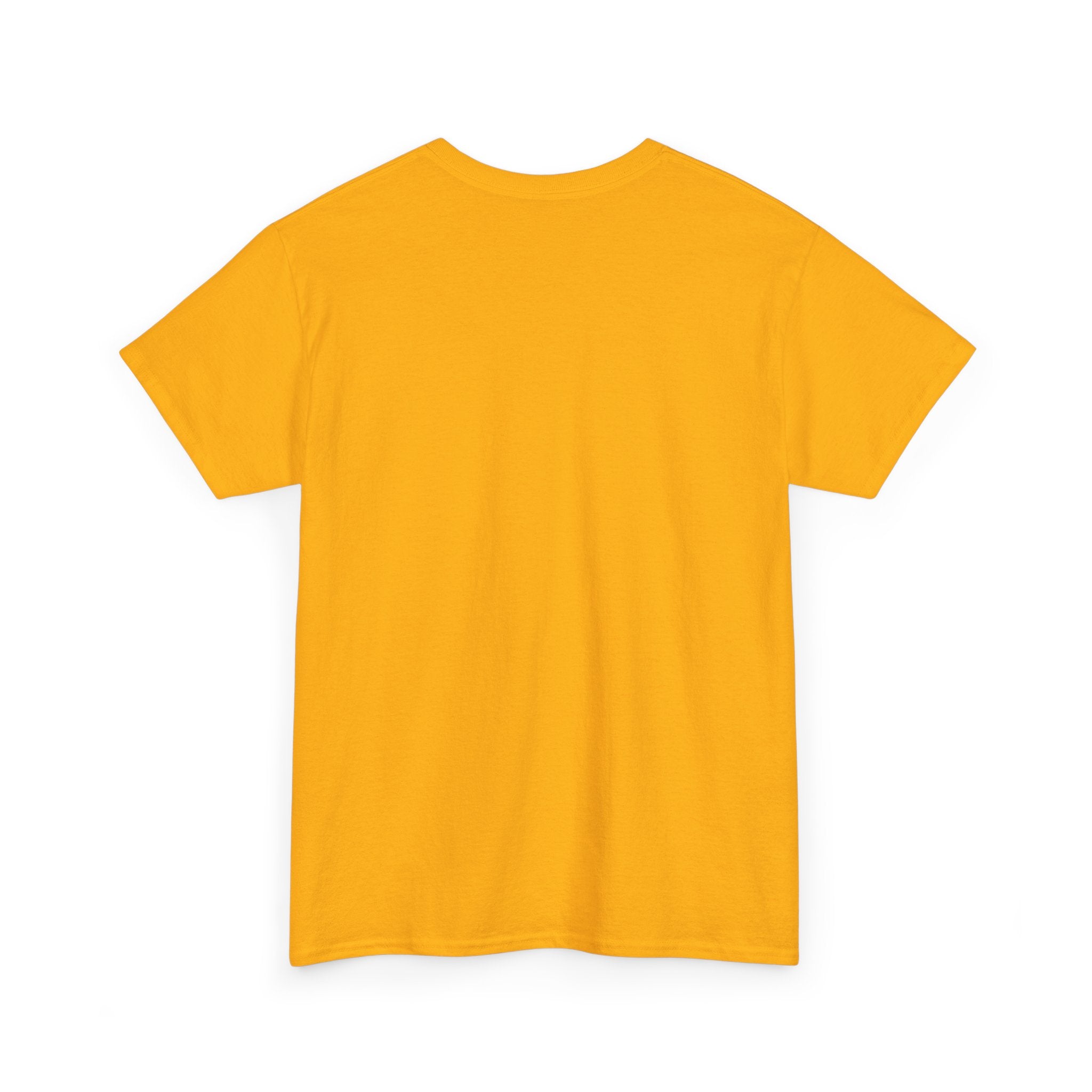 Camisa Unisex - Reliquia Nuestra Señora de Coromoto Venezuela